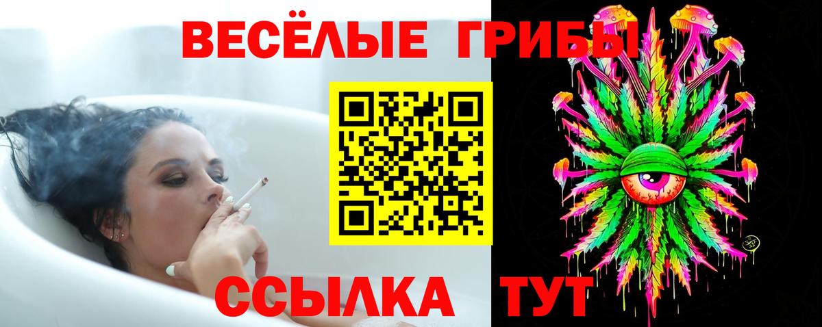 Псилоцибиновые грибы мухоморы Егорьевск